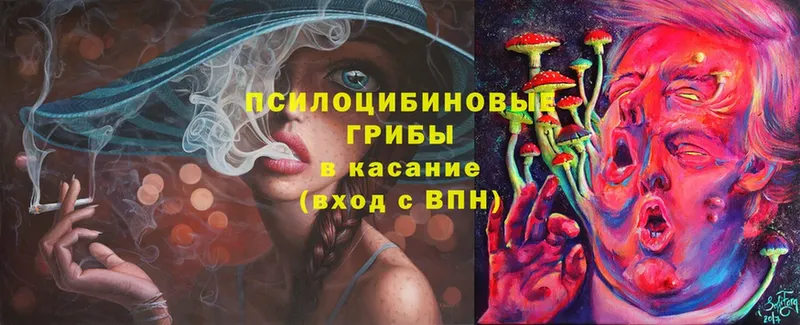 дарнет шоп  Сергач  Псилоцибиновые грибы Cubensis 